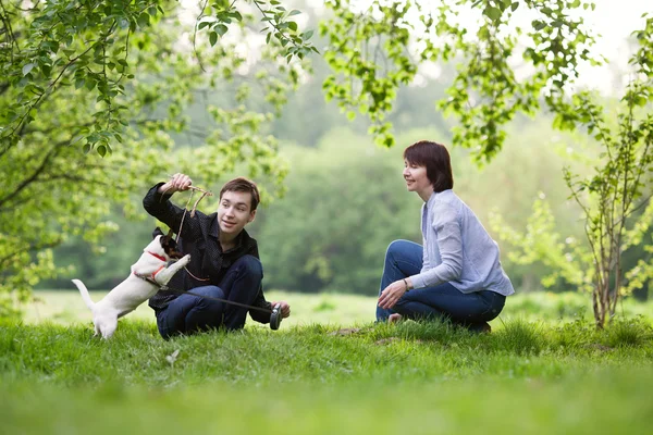 Portret van gelukkig mather met zoon en hond Jack Russell in zomer park — Stockfoto