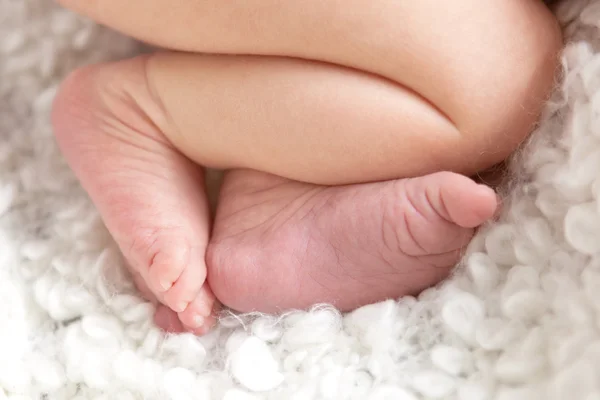 Yeni doğan bebeğin ayakları küçük fotoğrafı. — Stok fotoğraf