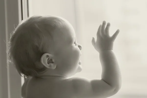 Portrait of little cute baby girl at window — Stock Photo, Image