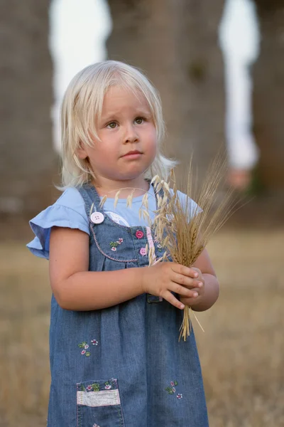 Porträt eines ernsten fröhlichen kleinen Mädchens — Stockfoto