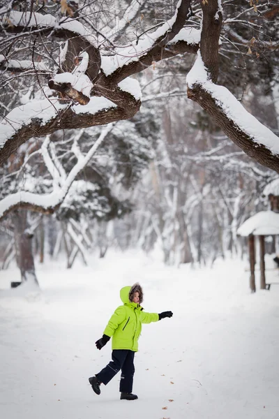 冬の日に屋外犬で遊んで喜んでいる子供 — ストック写真