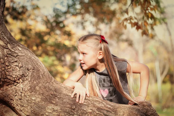 Retrato de menina alegre bonito no parque de outono , — Fotografia de Stock