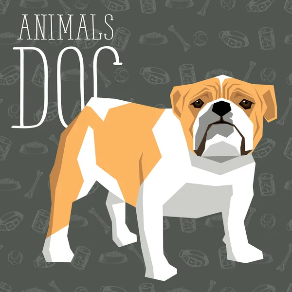 Geometrische britische Bulldogge — Stockvektor