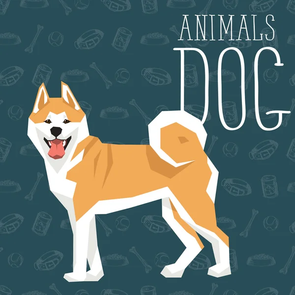 Geometrické pes Akita — Stockový vektor