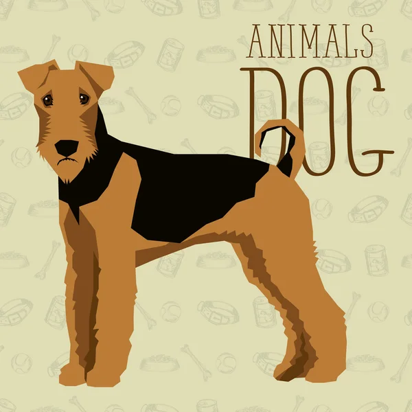 Airedale Terrier Hund — Stockvektor