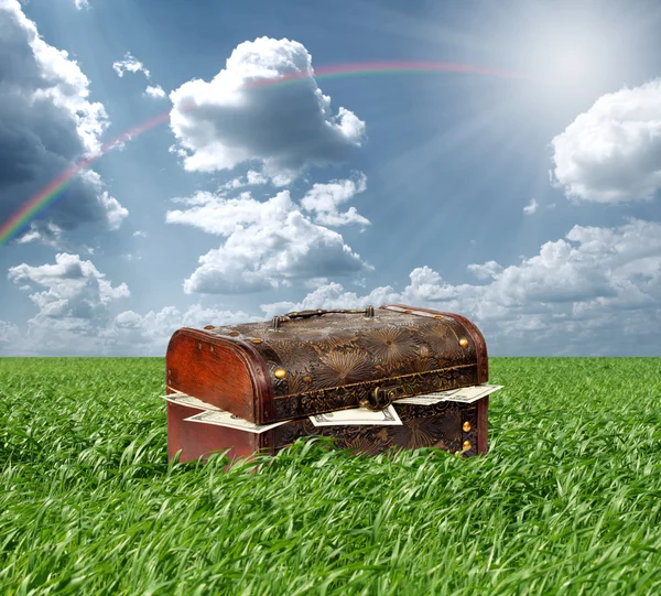 Treasures chest with money in  grass — Stock Photo, Image