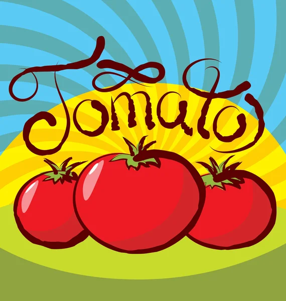 Tomates rojos maduros — Vector de stock