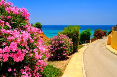 İspanya 'nın fotoğrafları, deniz, plajlar, Cabo Roig ve Campoamor' un manzarası. Costa Blanca, Güney Alicante, Orihuela Costa