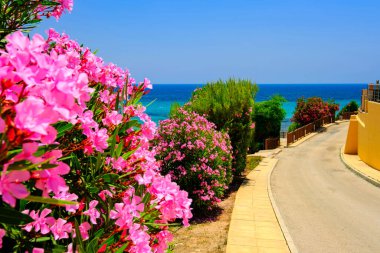 İspanya 'nın fotoğrafları, deniz, plajlar, Cabo Roig ve Campoamor' un manzarası. Costa Blanca, Güney Alicante, Orihuela Costa