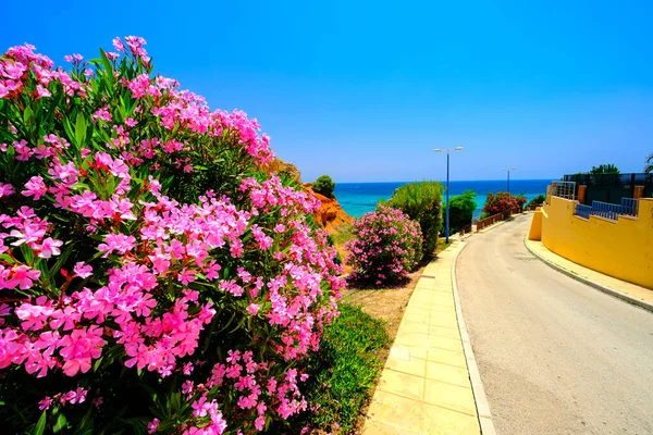 Fotos Von Spanien Dem Meer Den Stränden Der Landschaft Von — Stockfoto