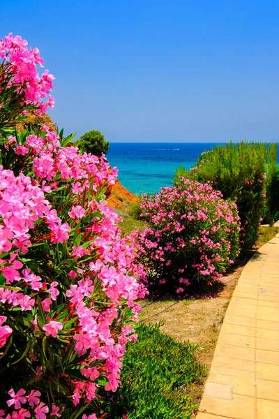 Fotos Von Spanien Juli 2021 Meer Strände Sommerlandschaft Von Cabo — Stockfoto