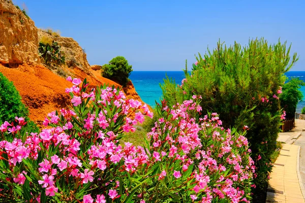 Fotos Von Spanien Hochauflösendes Foto Zum Drucken Von Tapeten Costa — Stockfoto