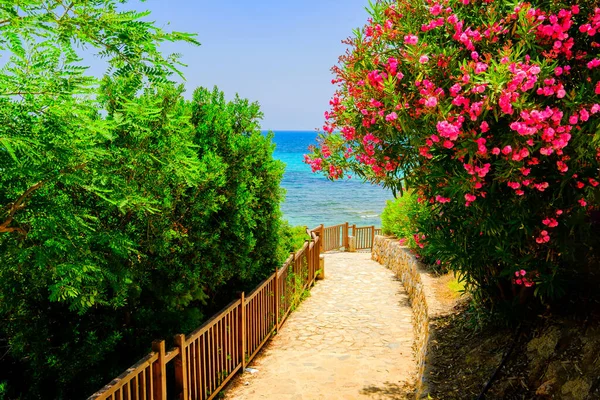 Duvar kağıdı basmak için yüksek çözünürlüklü fotoğraf. İspanya, deniz, plajlar, Cabo Roig ve Campoamor 'un manzarası.