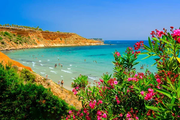 Fotos Von Spanien Bunte Sommerlandschaft Zum Drucken Von Tapeten Das — Stockfoto