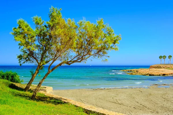 Paysage Estival Avec Mer Plage Nature Espagne Orihuela Costa Blanca — Photo