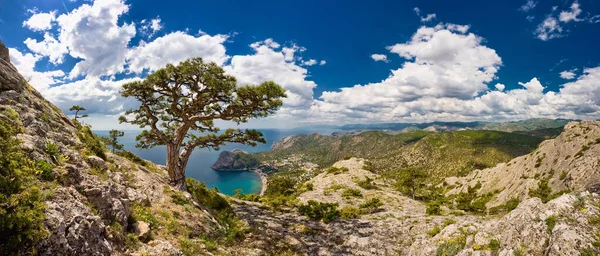 Panorama Photo Haute Résolution Paysage Été Crimée Vue Montagne Mer Photos De Stock Libres De Droits