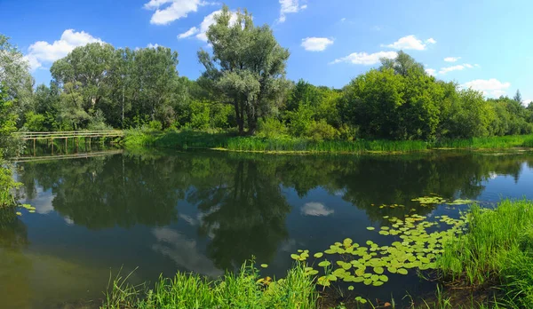 Paisaje de verano foto de alta resolución, Río Voronezh, región de Lipetsk, distrito de Dobrovsky — Foto de Stock