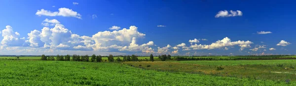 Panorama de alta resolução, paisagem de verão com campo e horizonte — Fotografia de Stock