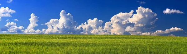 High-resolution panorama for printing photo wallpapers, banners, summer landscape, green field