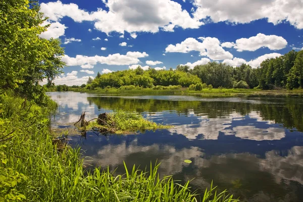 Väggmålningar i sovrummet, vardagsrum, sommarlandskap med flod, högupplöst foto, fotobank — Stockfoto