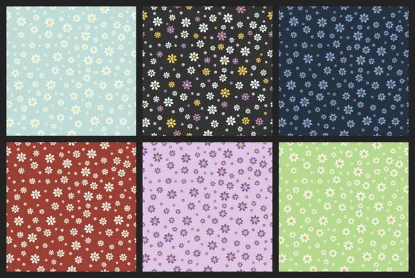Flower daisy pattern, chamomile pattern — Stock Vector