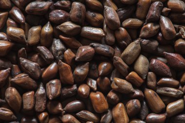 chinese coffee beans clipart