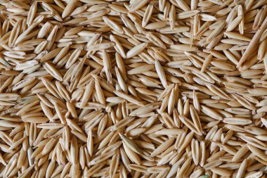 yulaf tahıl fotoğraf