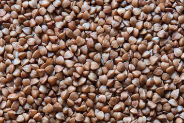 ham buğday fotoğraf