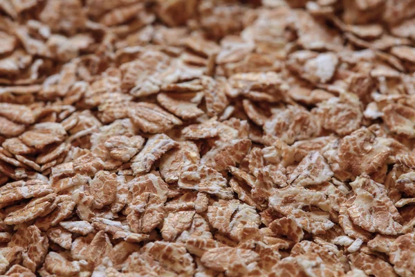Wheat flakes photo — Stock Photo, Image