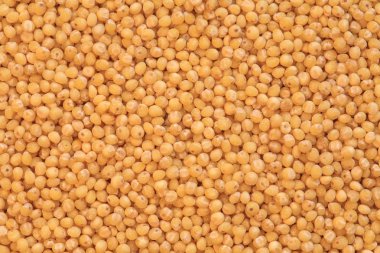 darı kabuğu çıkarılmış tane fotoğraf