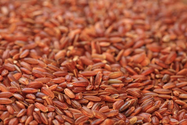 Červená rýže Foto — Stock fotografie