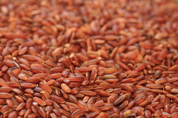 red rice photo