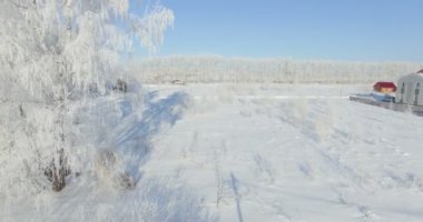 4k Hava: bir kış orman sabah... Frost kış alan ve mavi gökyüzü ile dondurulmuş huş ağacı