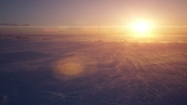 Schneesturm, Wind und Sonne. Arktische Kälte. Schneeverwehungen. — Stockvideo