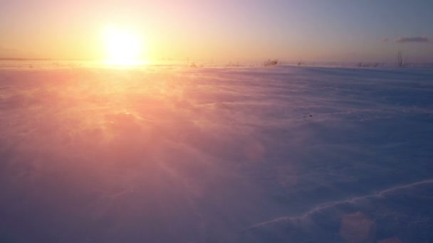 Tormenta de nieve, viento y sol. Ártico frío. Nieve congelada deriva . — Vídeo de stock