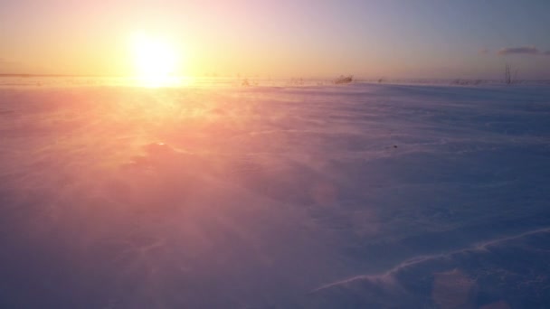 Schneesturm, Wind und Sonne. Arktische Kälte. Schneeverwehungen. — Stockvideo