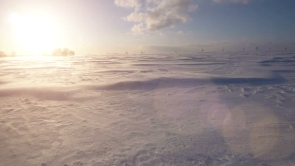 Schneesturm, Wind und Sonne. Arktische Kälte. Schneeverwehungen. — Stockvideo