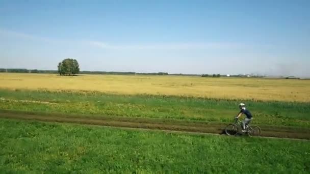 AERIAL: Young man cycling on bicycle at rural road through green and yellow field. — Stock Video