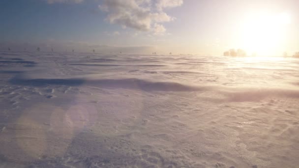 Снежная буря, ветер и солнце. Холодная Арктика. Замороженные снежные заносы . — стоковое видео