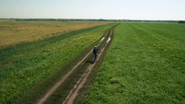 AERIAL: Young man cycling on bicycle at rural road through green and yellow field. — Stock Video