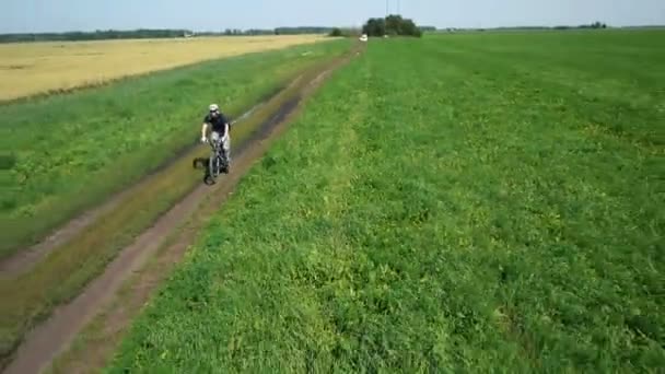 AERIAL: Jovem pedalando de bicicleta na estrada rural através do campo verde e amarelo . — Vídeo de Stock