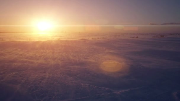 Sněhová bouře, vítr a slunce. Studené arktické. Zmrzlé sněhové závěje. — Stock video