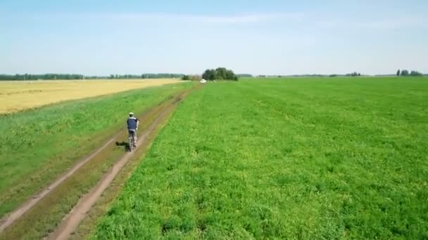 AEREO: Giovane in bicicletta su strada rurale attraverso il campo verde e giallo . — Video Stock