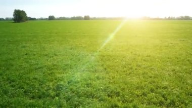 Anteni: Düşük uçuş yeşil ve sarı buğday alanın üzerine