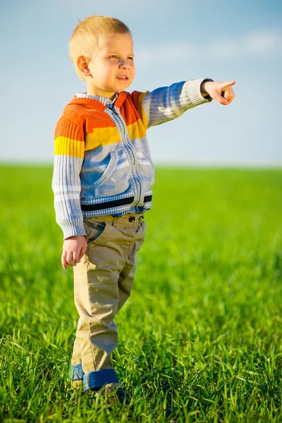 Portrait of happy joyful beautiful little boy outdoor at countryside. Pointing concept. — Stock Photo, Image