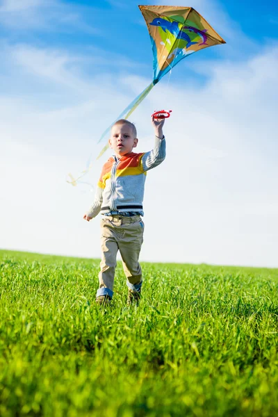 Young boy playing with his kite in a green field. — Stock Photo, Image