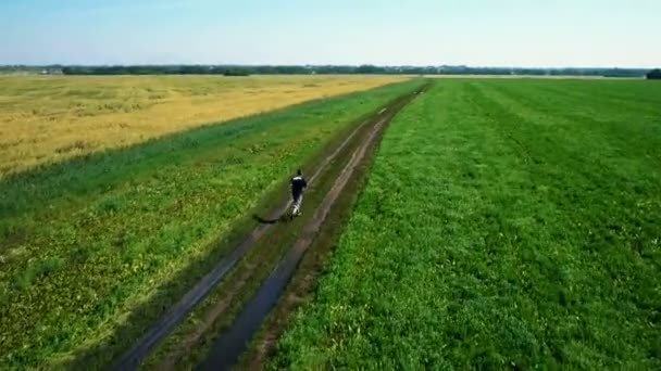 Luchtfoto: Running atleet man. Mannelijke atleet joggen buiten. Sport. — Stockvideo