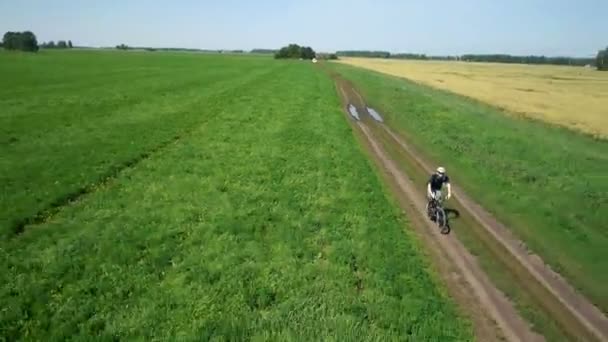 Antenn: Ung man cykla på cykel på lantlig väg genom gröna och gula fält. — Stockvideo