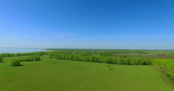 4 k 撮。緑と黄色の小麦農村フィールドの上の飛行を低. — ストック動画