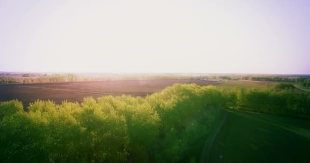 Vista aérea de 4k. Bajo vuelo sobre campo rural de trigo verde y amarillo . — Vídeos de Stock